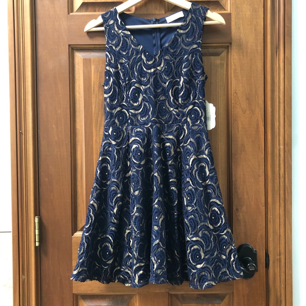 Altar’d State Floral Lace Fit & Flare Dress